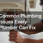 Common Plumbing Issues Every Plumber Can Fix