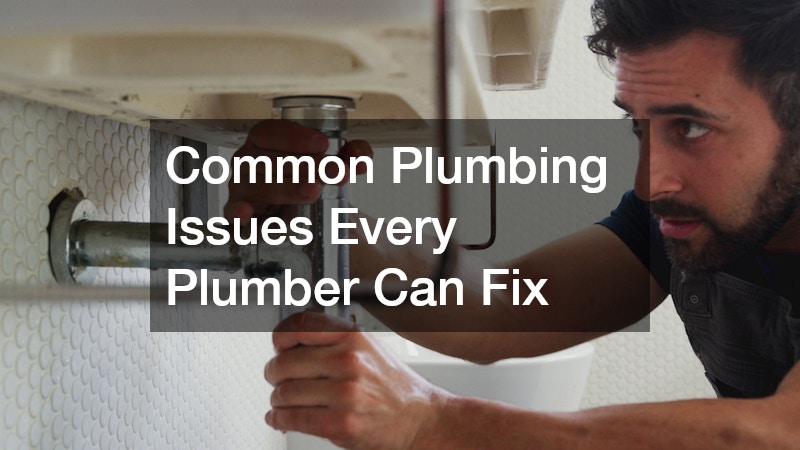 Common Plumbing Issues Every Plumber Can Fix